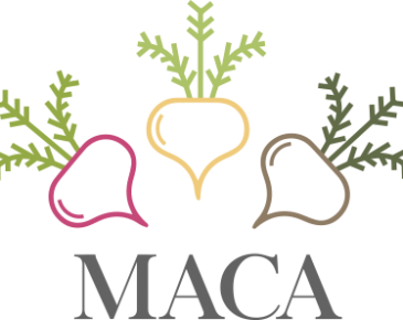 Maca Negra: Contra Infertilidad, Stress y Propiedades