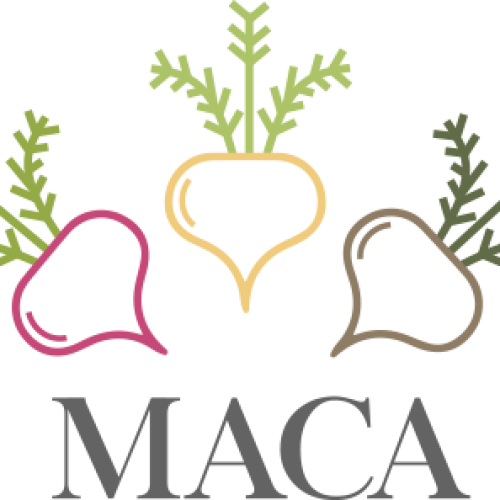 Maca Negra: Contra Infertilidad, Stress y Propiedades