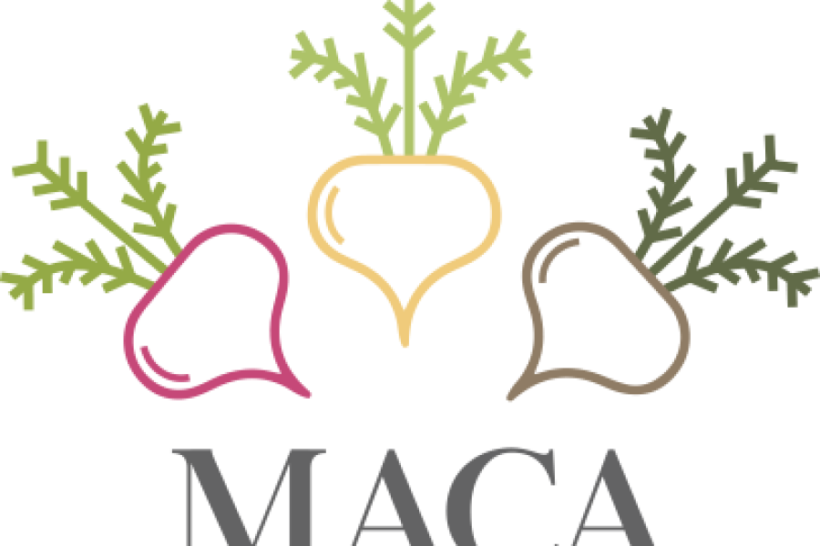 Maca Negra: Contra Infertilidad, Stress y Propiedades