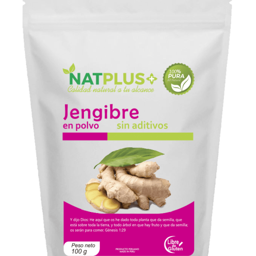 Jengibre en polvo orgánico 100 g